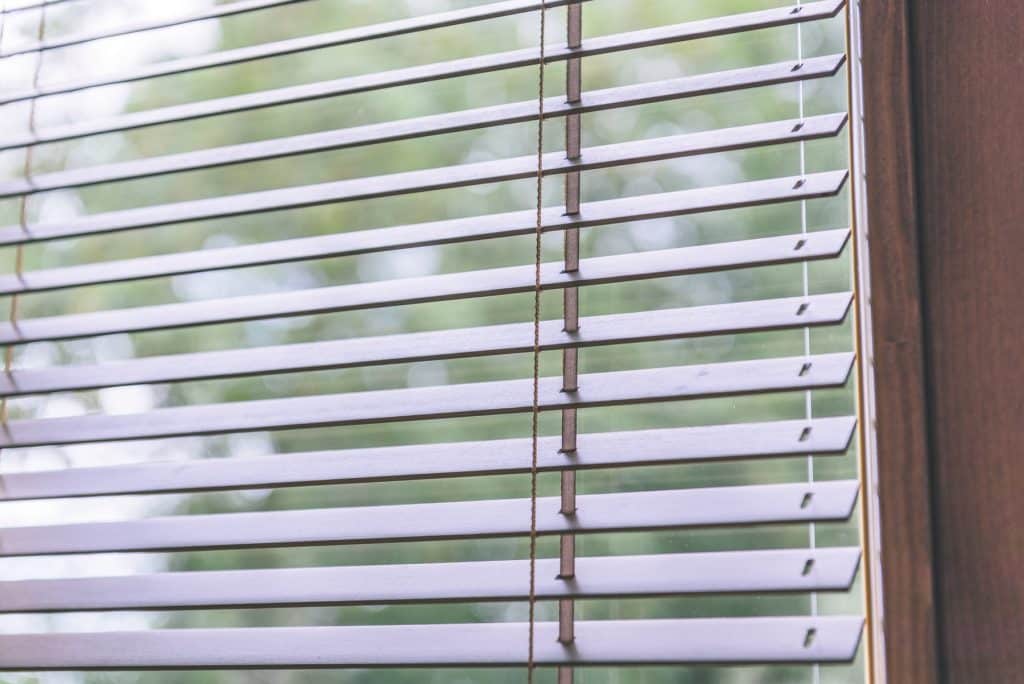 Shutter Rollers slightly open showing trees through window